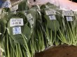画像4: 有機農産物　有機小松菜 1束160ｇ　朝採れたてをその日のうちに発送！ (4)